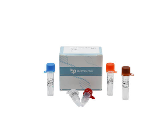 Rabies Virus Real Time PCR Kit