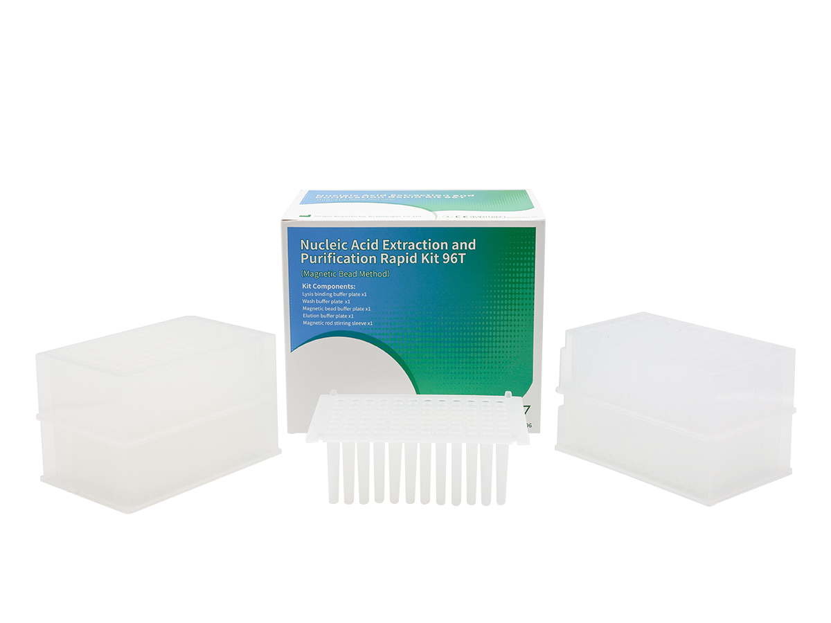 Nucleic Acid Extraction and Purification Rapid Kit 96T (Magnetic Bead Method)