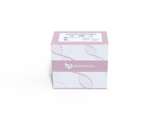 Survival Motor Neuron 1 (SMN1)  Real Time PCR Kit