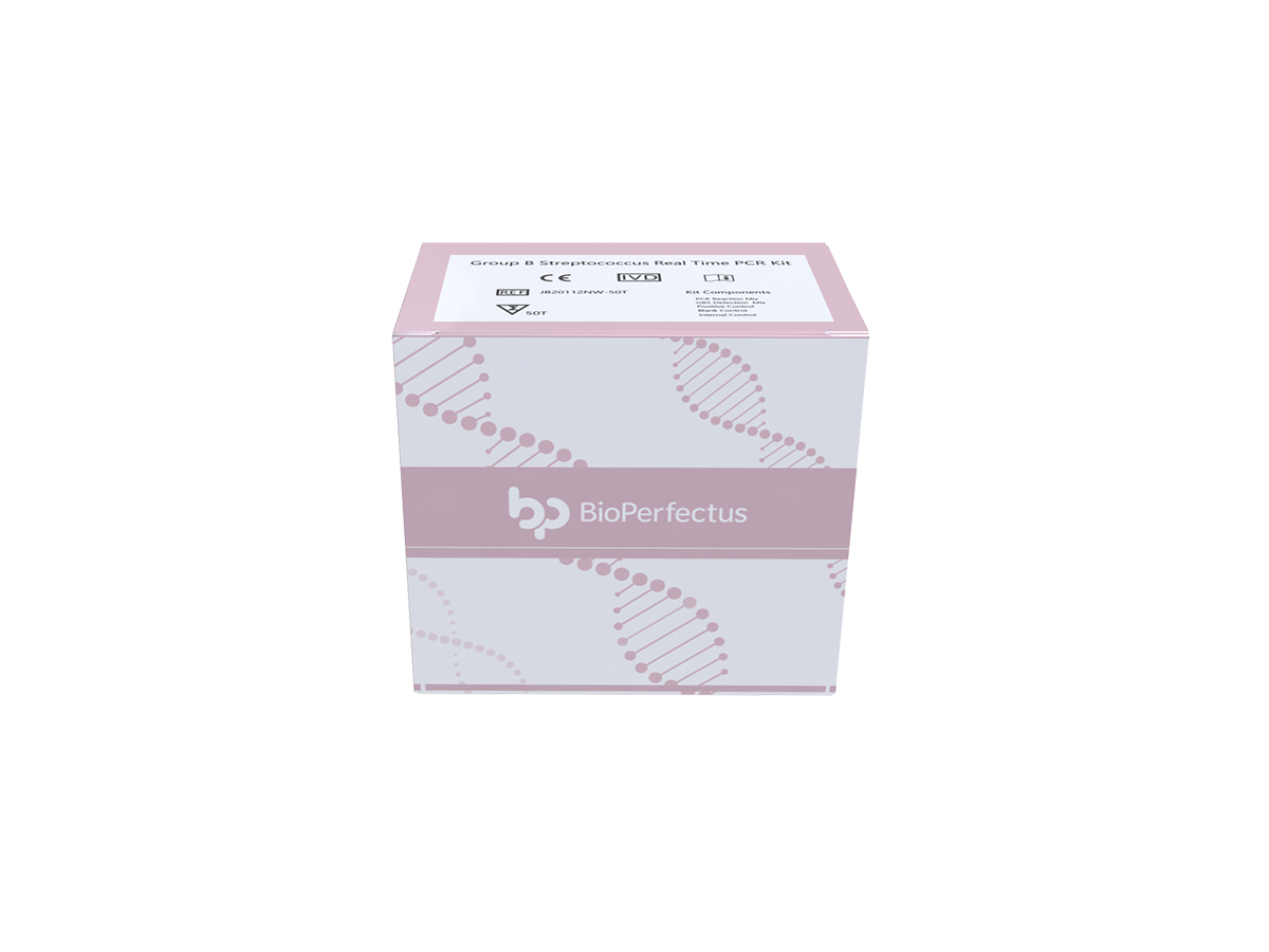 Group B Streptococcus Real Time PCR Kit