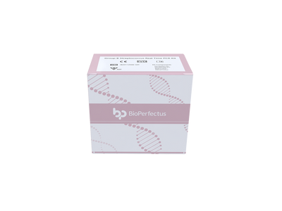 Group B Streptococcus Real Time PCR Kit