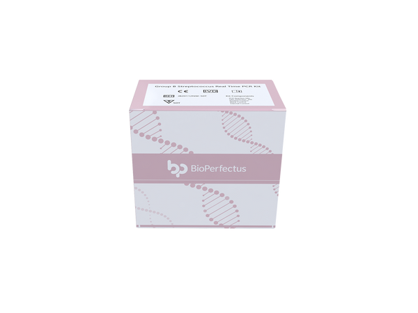 BioPerfectus Group B Streptococcus Real Time PCR Kit