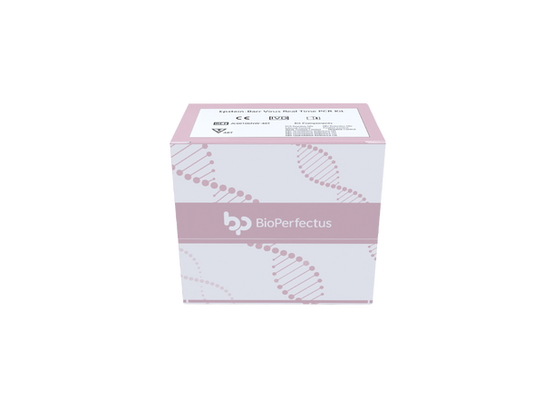 BioPerfectus Epstein-Barr Virus Quantitation Real Time PCR Kit