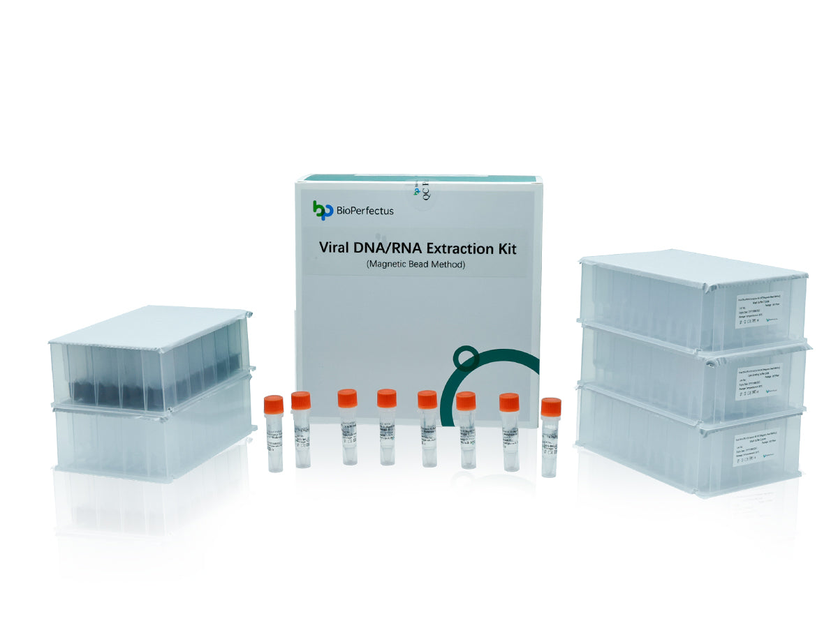 Viral DNA/RNA Extraction Kit (Magnetic Bead Method)