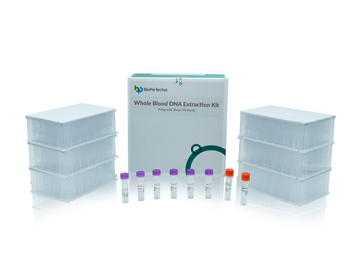 Whole Blood DNA Extraction Kit (Magnetic Bead Method)