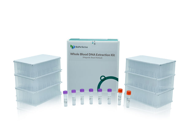 BioPerfectus Whole Blood DNA Extraction Kit (Magnetic Bead Method)