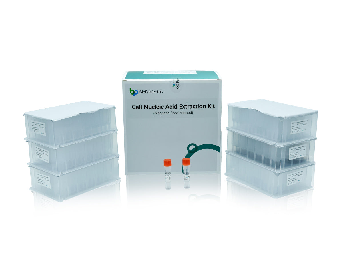 Cell Nucleic Acid Extraction Kit (Magnetic Bead Method)