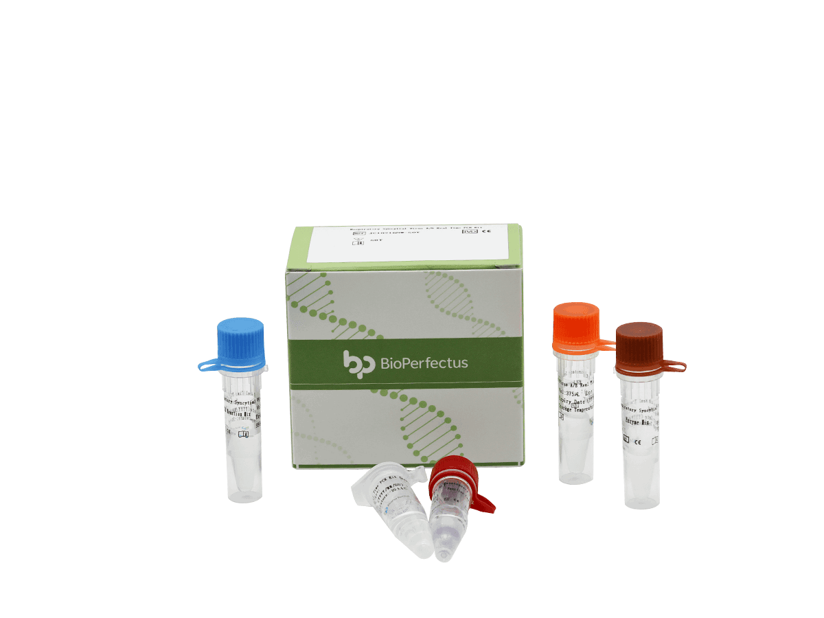 BioPerfectus Respiratory Syncytial Virus A/B Real Time PCR Kit
