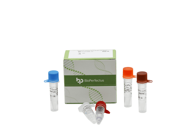 BioPerfectus Respiratory Syncytial Virus A/B Real Time PCR Kit
