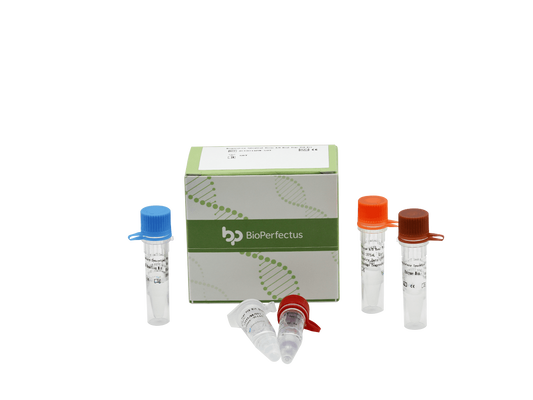 Respiratory Syncytial Virus A/B Real Time PCR Kit