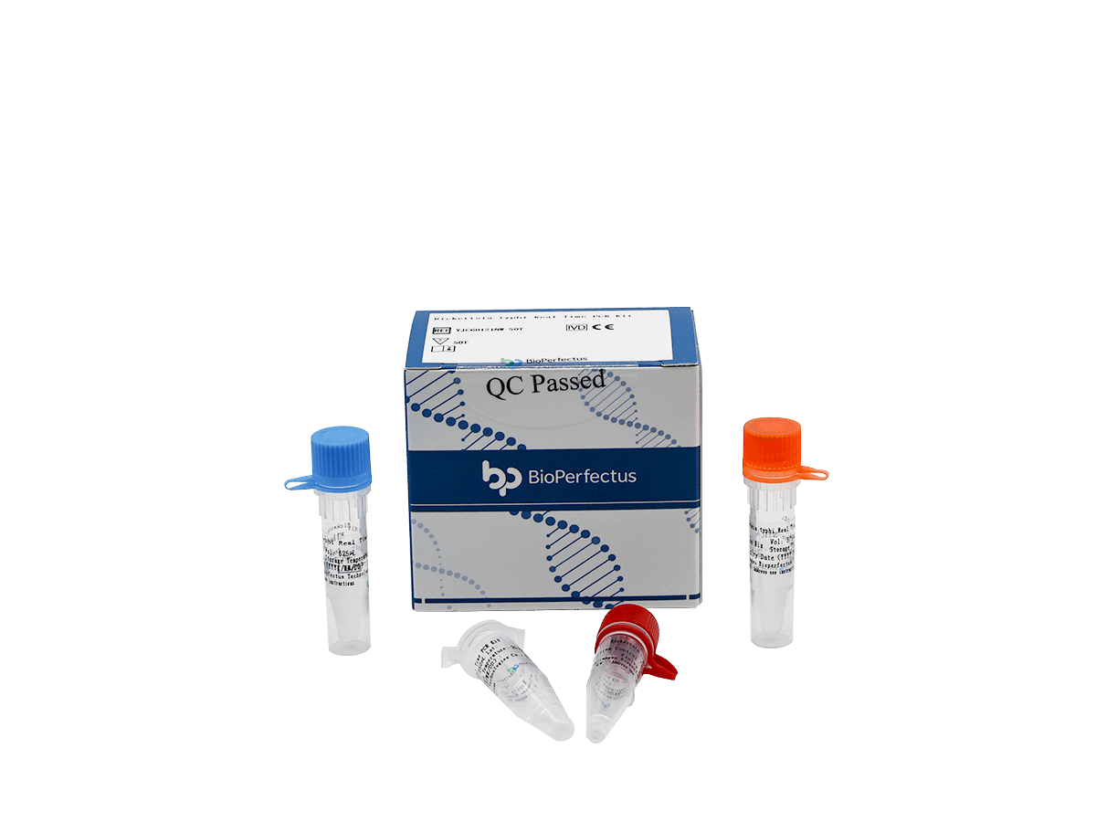 BioPerfectus Rickettsia typhi Real Time PCR Kit