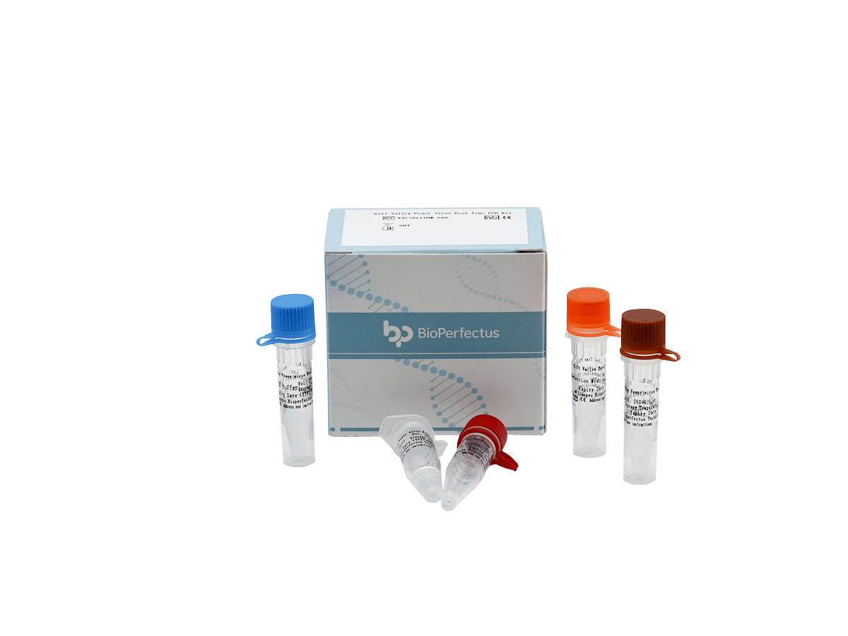 BioPerfectus Rift Valley Fever Virus Real Time PCR Kit