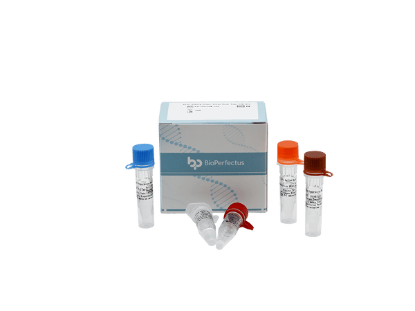 BioPerfectus Rift Valley Fever Virus Real Time PCR Kit