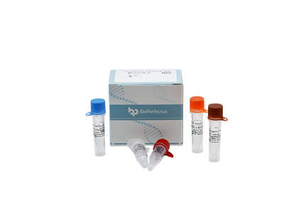 Rift Valley Fever Virus Real Time PCR Kit