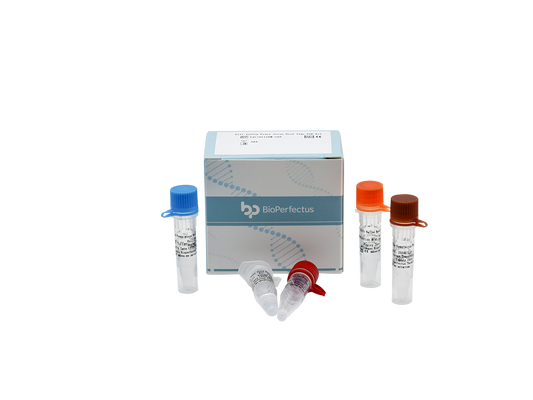 Rift Valley Fever Virus Real Time PCR Kit