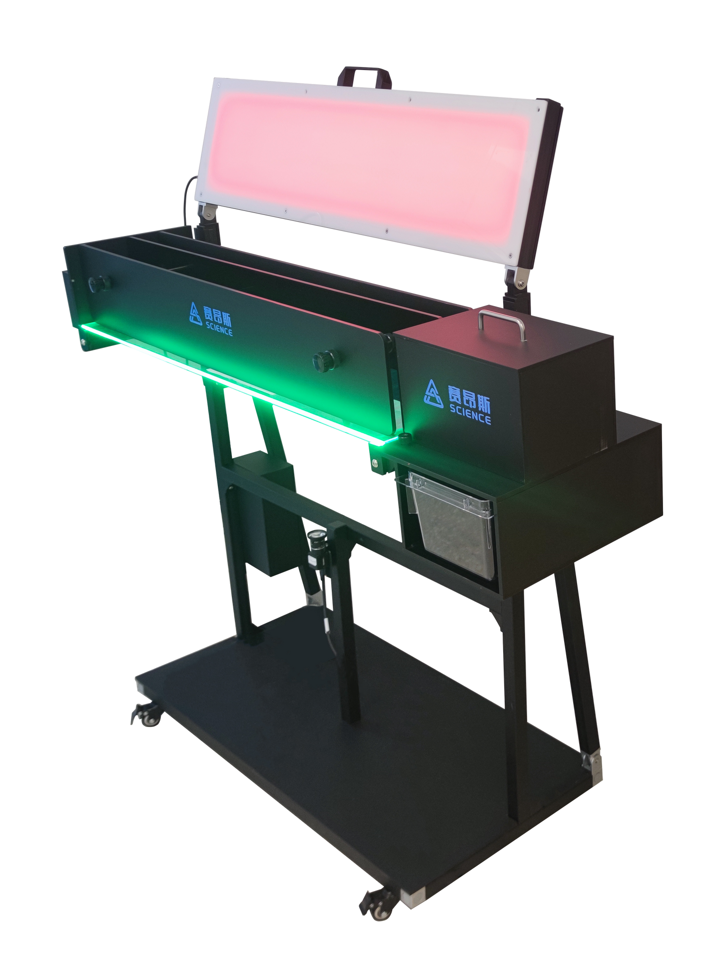 Rodent Gait Analysis System