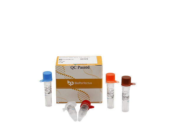 BioPerfectus Rotavirus A/B/C Real Time PCR Kit