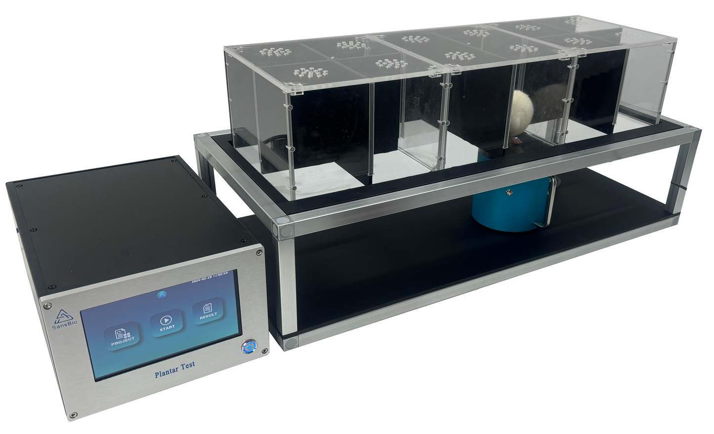 Hargreaves Plantar Test