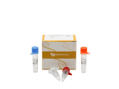 BioPerfectus Salmonella Typhi/Salmonella Paratyphi Real Time PCR Kit