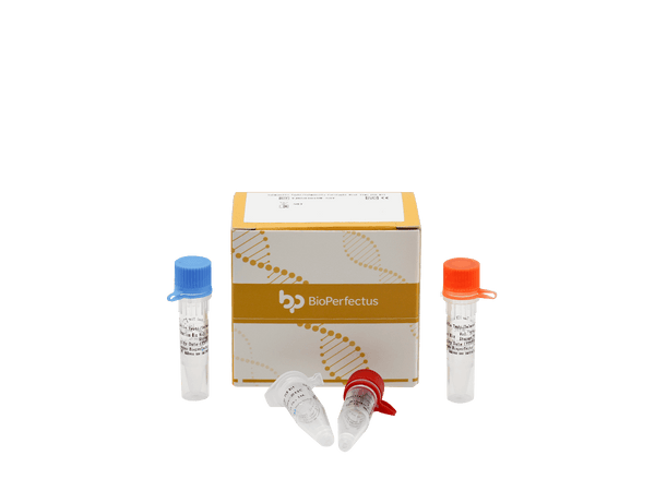 BioPerfectus Salmonella Typhi/Salmonella Paratyphi Real Time PCR Kit