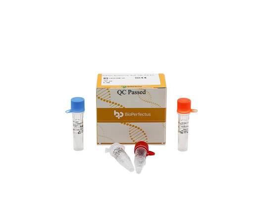 Salmonella & Shigella Real Time PCR Kit