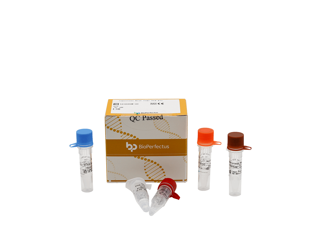 BioPerfectus Sapovirus Real Time PCR Kit