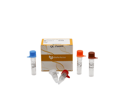 BioPerfectus Sapovirus Real Time PCR Kit