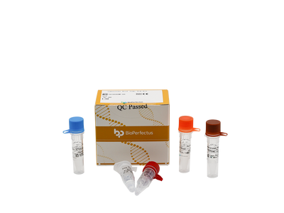 Sapovirus Real Time PCR Kit
