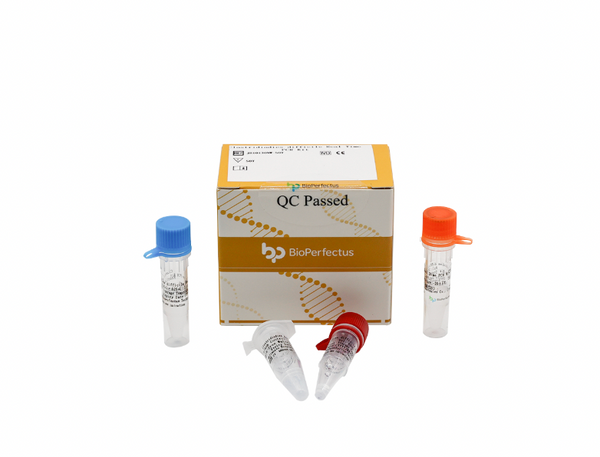 BioPerfectus Clostridiodies difficile Real Time PCR Kit