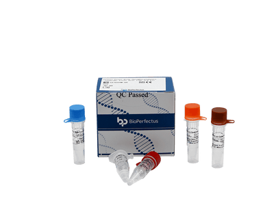 BioPerfectus Severe Fever with Thrombocytopenia Syndrome Bunyavirus (SFTSV) Real Time PCR Kit