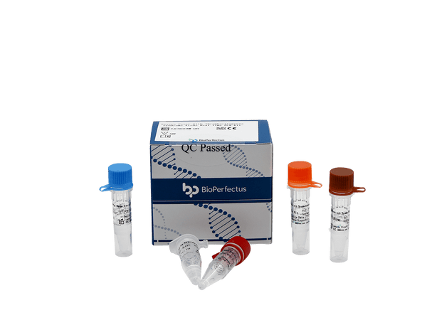 BioPerfectus Severe Fever with Thrombocytopenia Syndrome Bunyavirus (SFTSV) Real Time PCR Kit