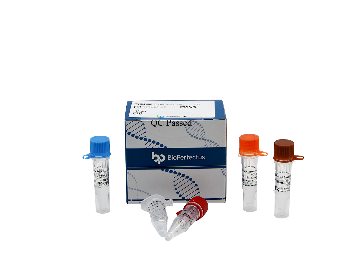 Severe Fever with Thrombocytopenia Syndrome Bunyavirus (SFTSV) Real Time PCR Kit