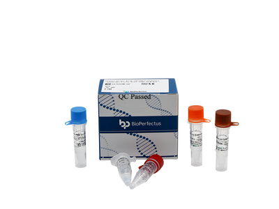 Severe Fever with Thrombocytopenia Syndrome Bunyavirus (SFTSV) Real Time PCR Kit