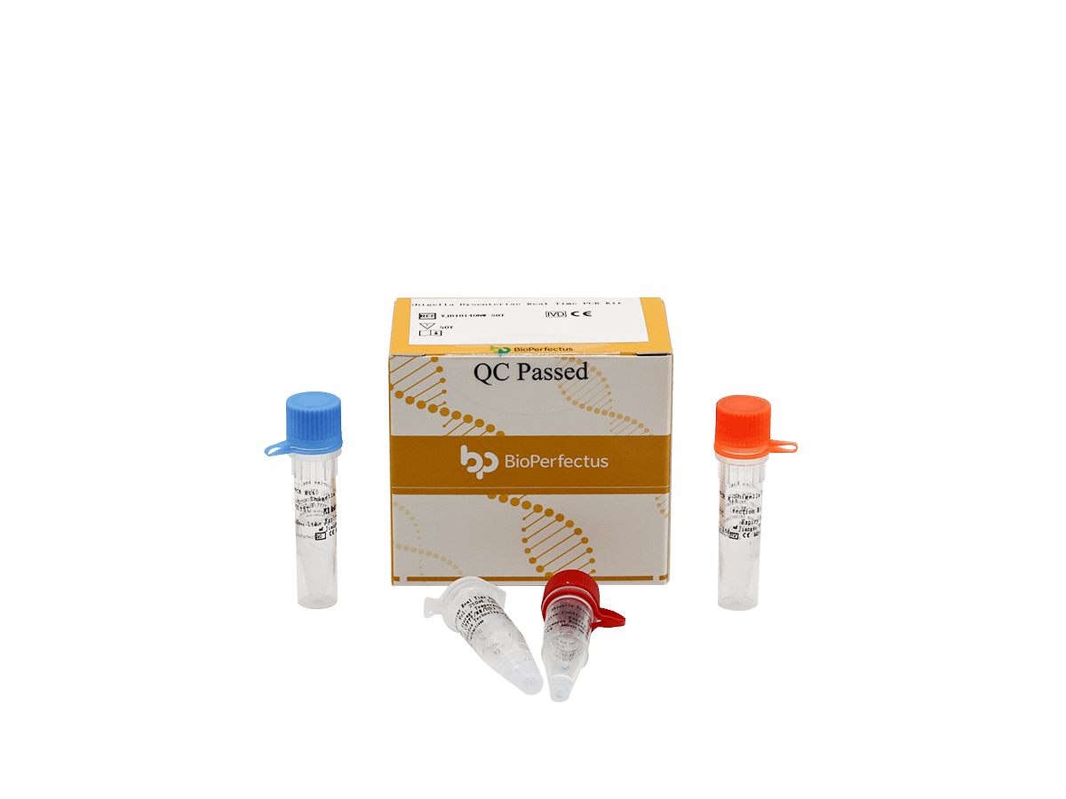 BioPerfectus Shigella Dysenteriae Real Time PCR Kit