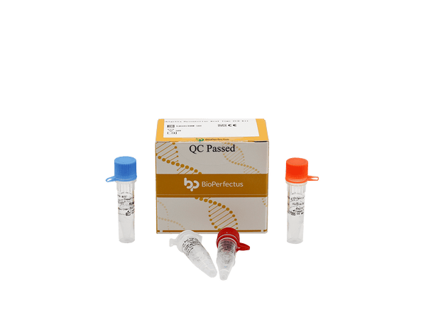 BioPerfectus Shigella Dysenteriae Real Time PCR Kit