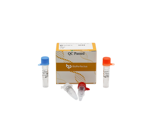 Shigella Dysenteriae Real Time PCR Kit