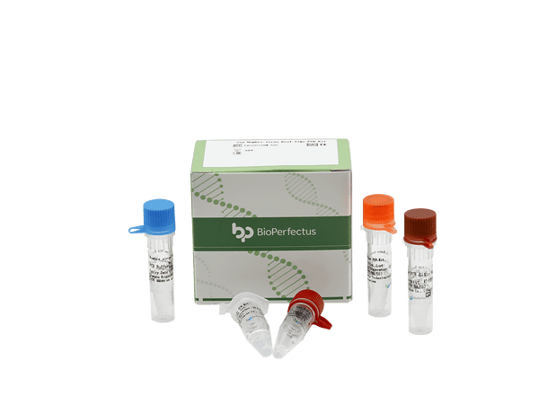 BioPerfectus Sin Nombre virus Real Time PCR Kit