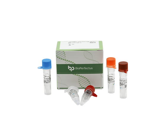 Sin Nombre virus Real Time PCR Kit