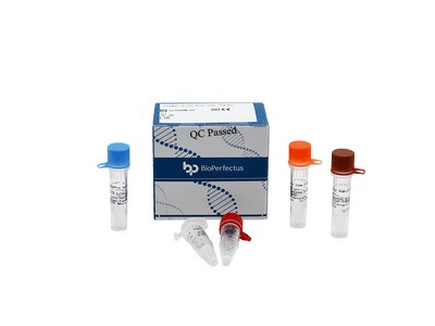 BioPerfectus Sindbis Virus Real Time PCR Kit