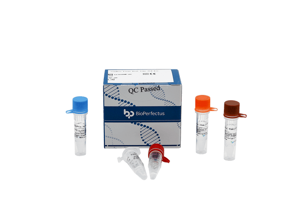 BioPerfectus Sindbis Virus Real Time PCR Kit