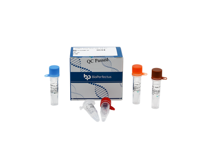 Sindbis Virus Real Time PCR Kit