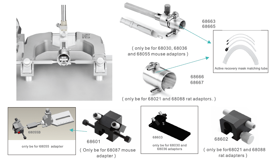 Stereotaxic Frame Nosecone Masks