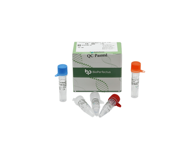 Streptococcus Pneumoniae Real Time PCR Kit