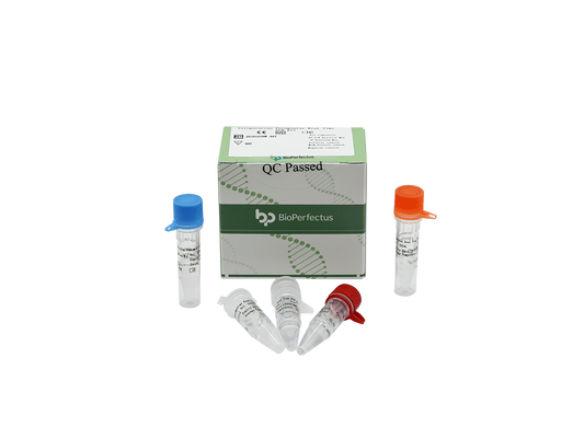 Streptococcus Pneumoniae Real Time PCR Kit