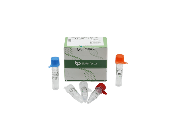 BioPerfectus Streptococcus Pneumoniae Real Time PCR Kit