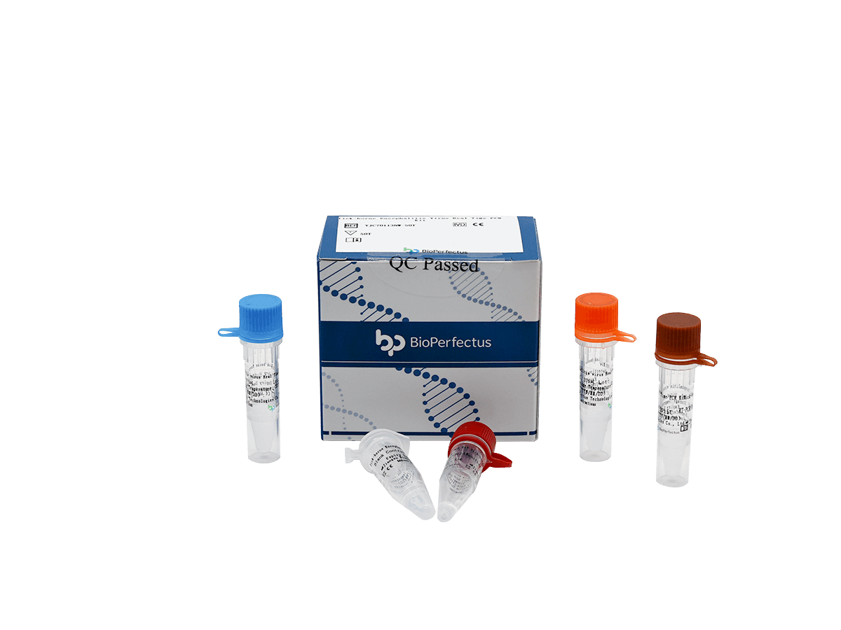 BioPerfectus Tick-borne Encephalitis Virus Real Time PCR Kit