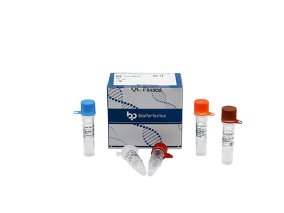 BioPerfectus Tick-borne Encephalitis Virus Real Time PCR Kit