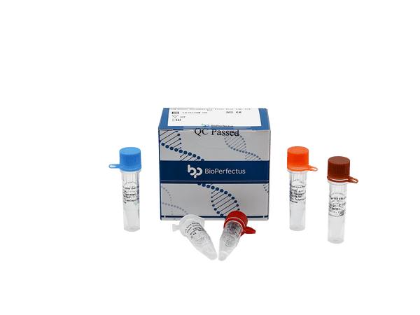 BioPerfectus Tick-borne Encephalitis Virus Real Time PCR Kit