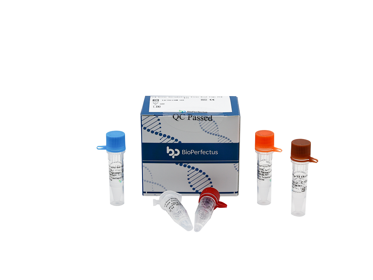 Tick-borne Encephalitis Virus Real Time PCR Kit