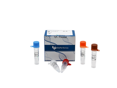 Tick-borne Encephalitis Virus Real Time PCR Kit